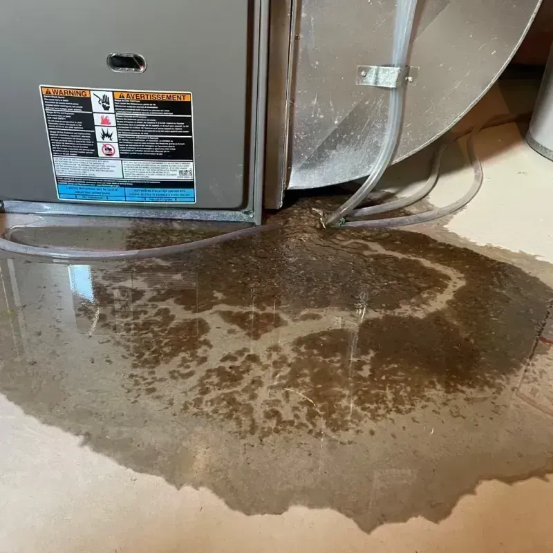 Appliance Leak Cleanup in Winnetka, IL